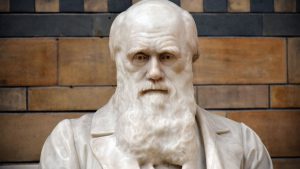 داروین-فروید